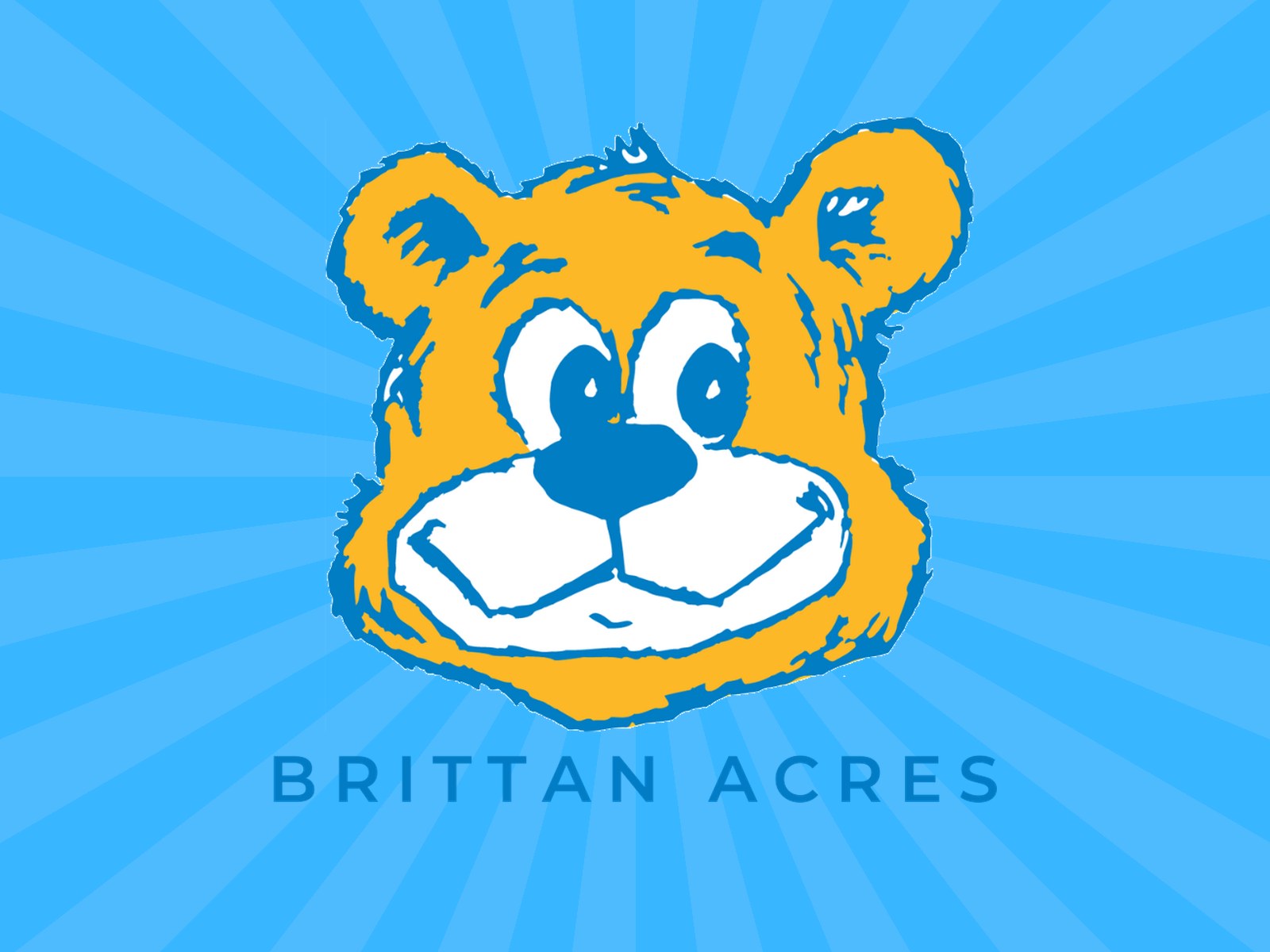 Brittan Acres bear mascot on sky blue sunburst